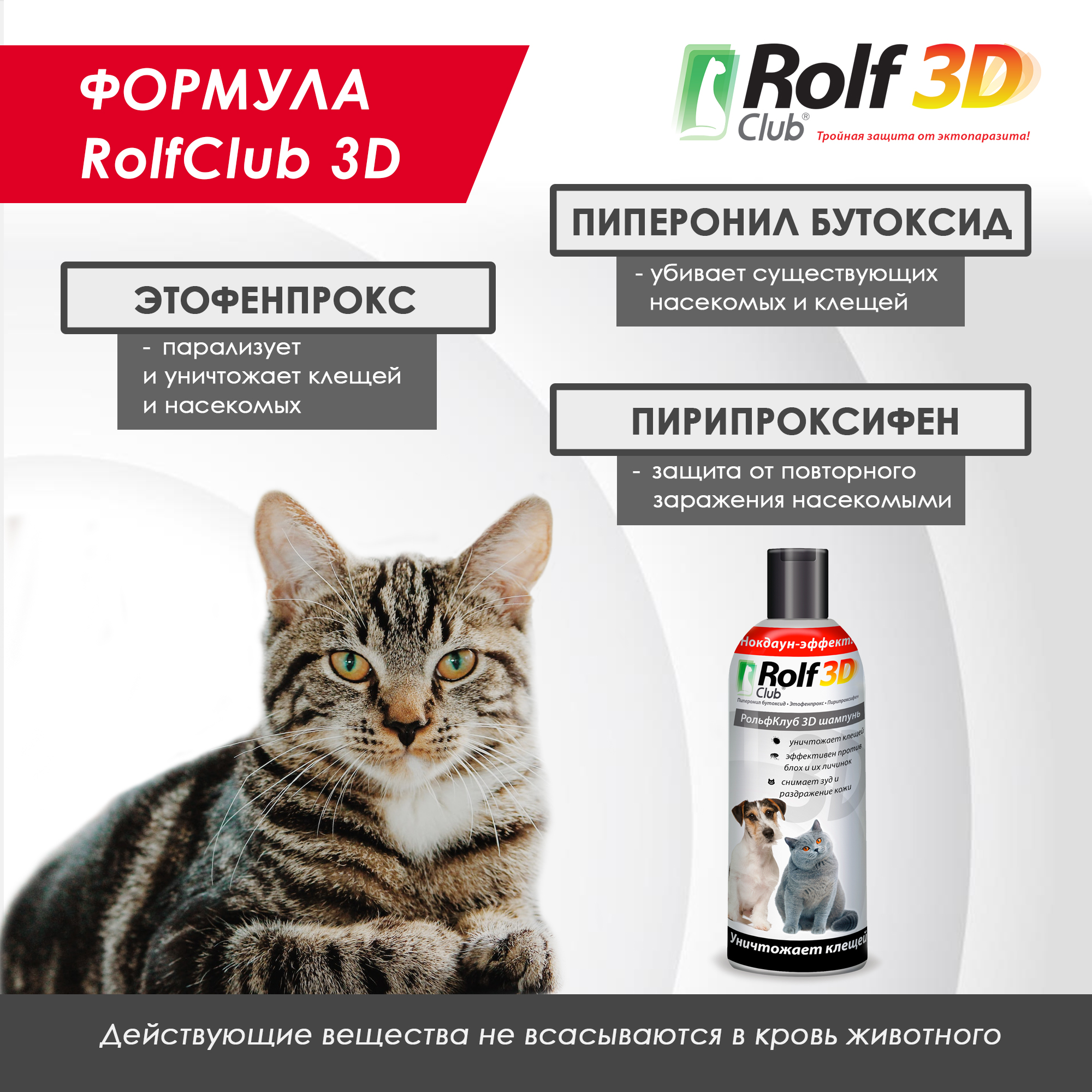 Шампунь для кошек и собак RolfClub3D от клещей и блох 200мл - фото 6
