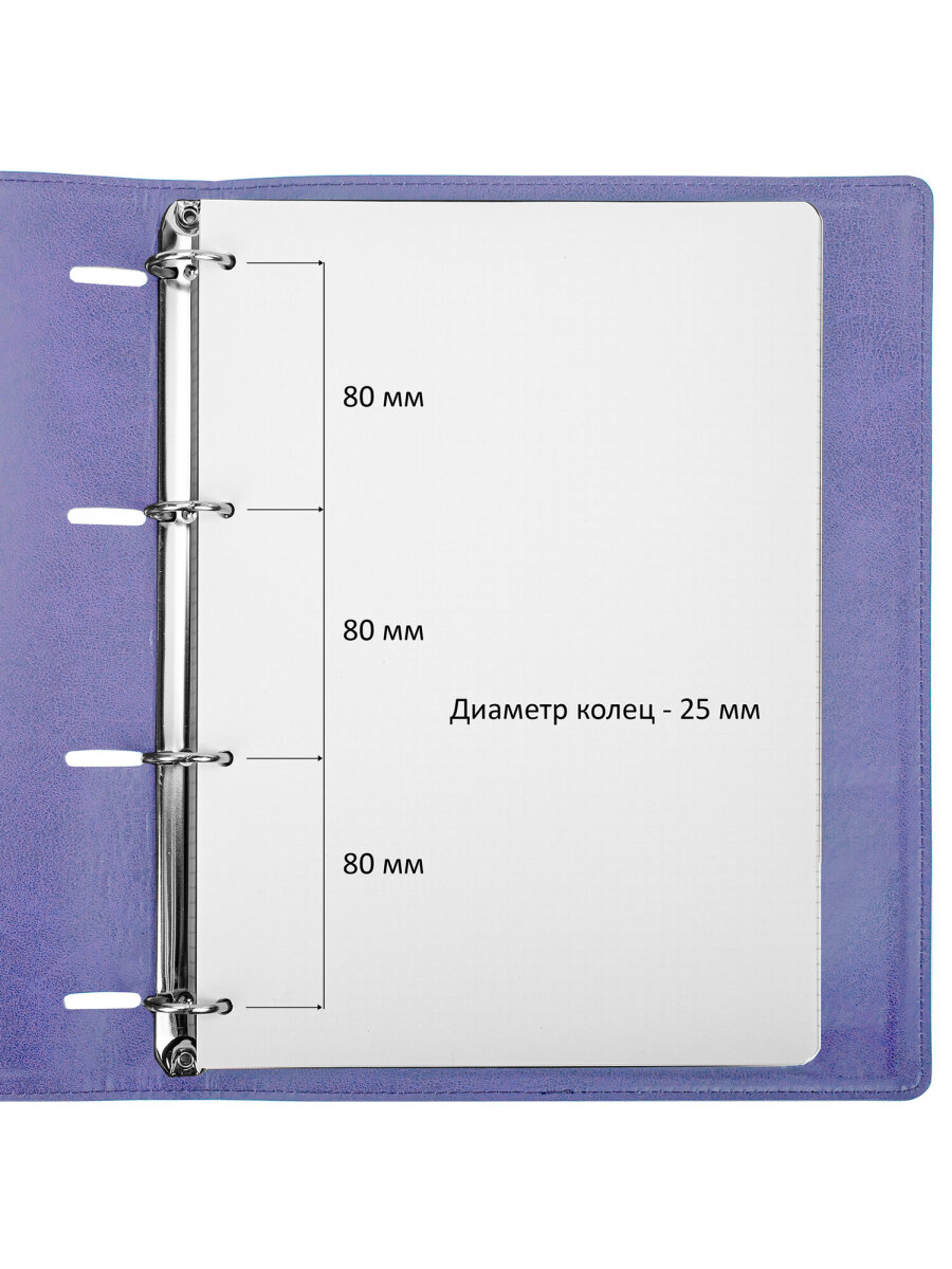 Тетрадь со сменным блоком Brauberg клетка 120 лист. - фото 5