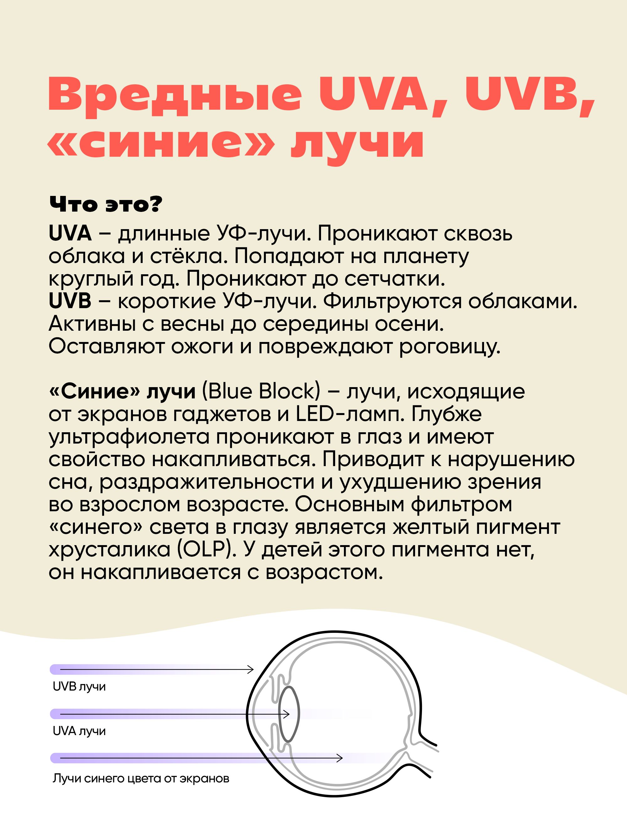 Очки солнцезащитные KiETLA WA2SUNAPRICOT - фото 7