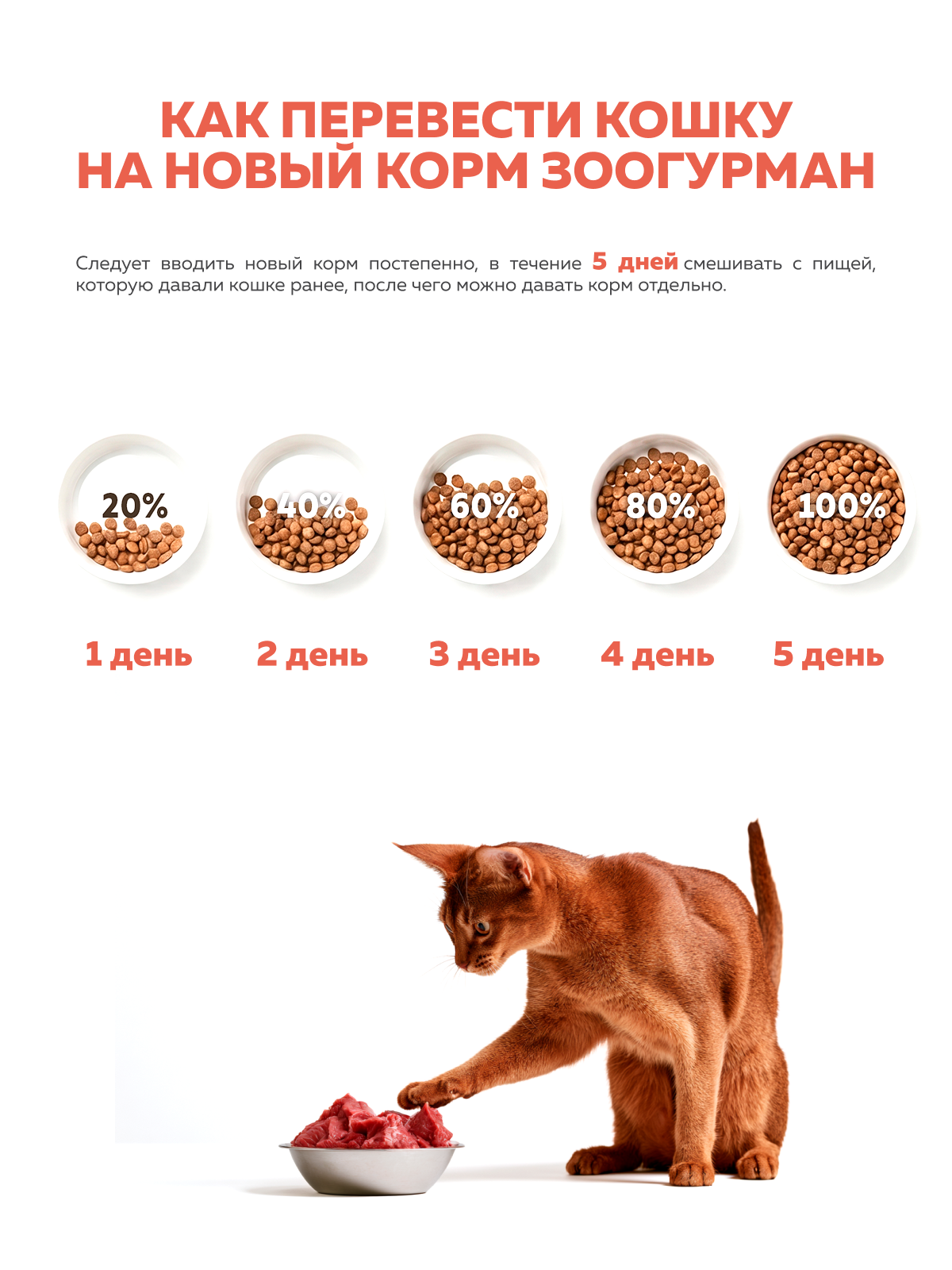 Корм сухой для кошек Зоогурман Holistic индейка с белой рыбой 1.5кг - фото 6