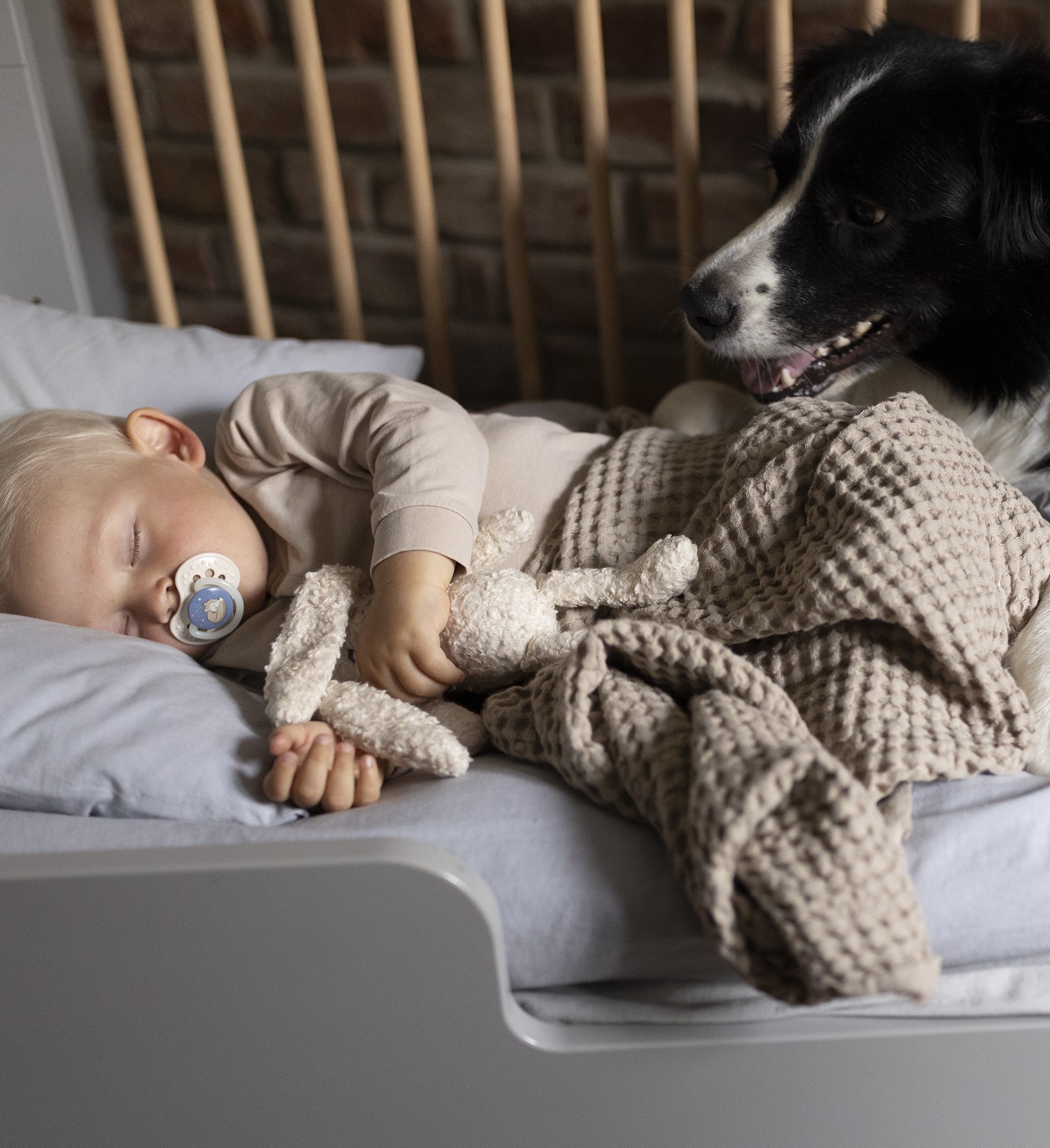 Пустышка LOVI силикон - фото 16