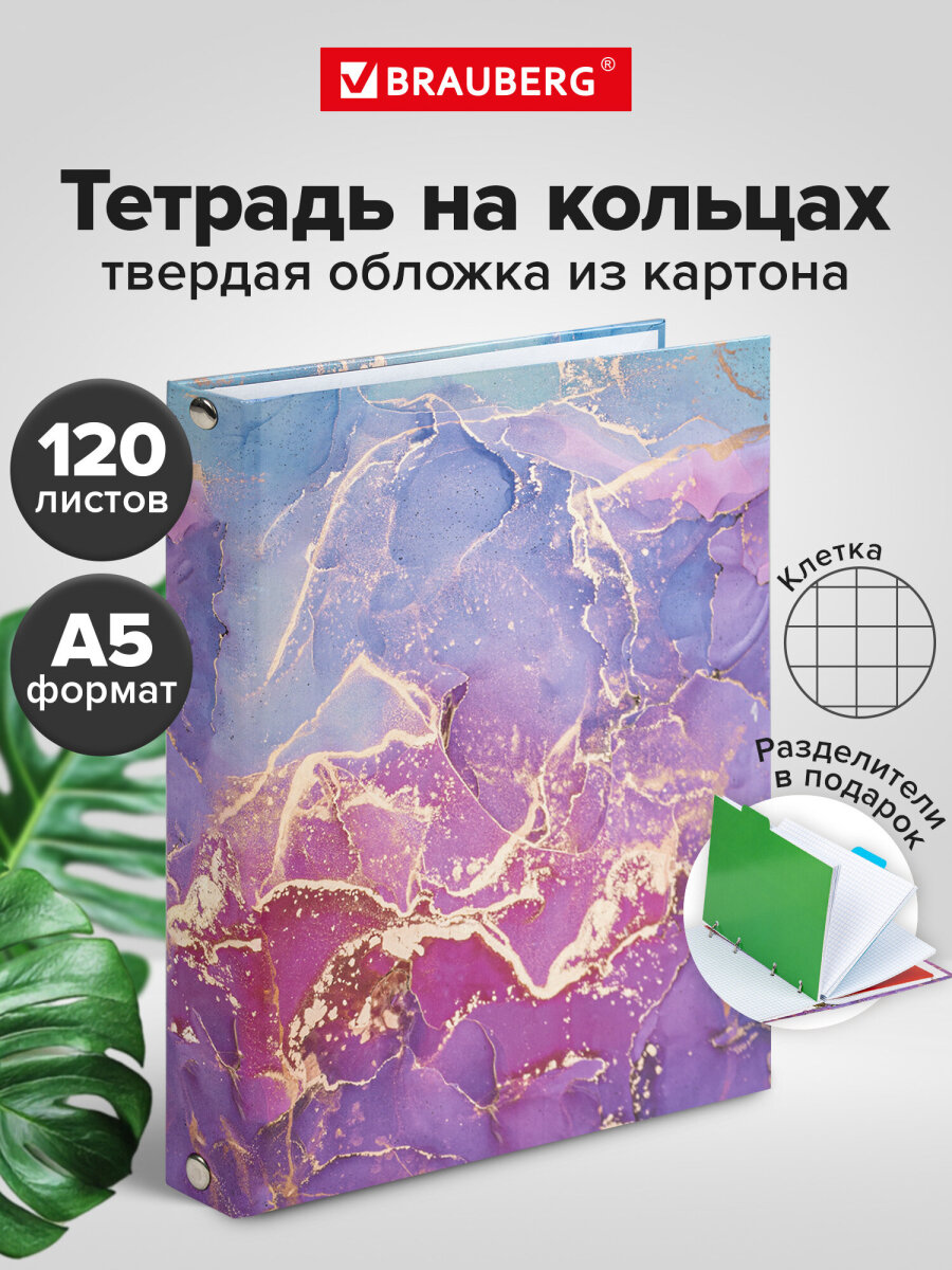 Тетрадь со сменным блоком Brauberg клетка 120 лист. - фото 1