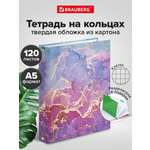 Тетрадь со сменным блоком Brauberg клетка 120 лист.