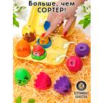 Игрушка TIPTOPOLIS сортер Животные цветные пищащие