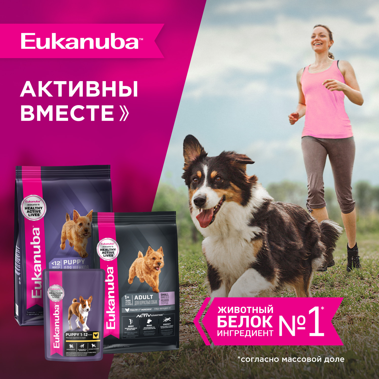 Корм для собак Eukanuba 800г Паппи Смол Брид 12м - фото 7