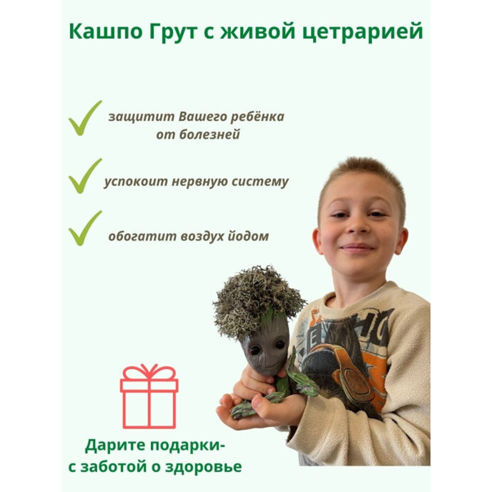 Грут с прической из цетрарии Cetraria 19 см - фото 13