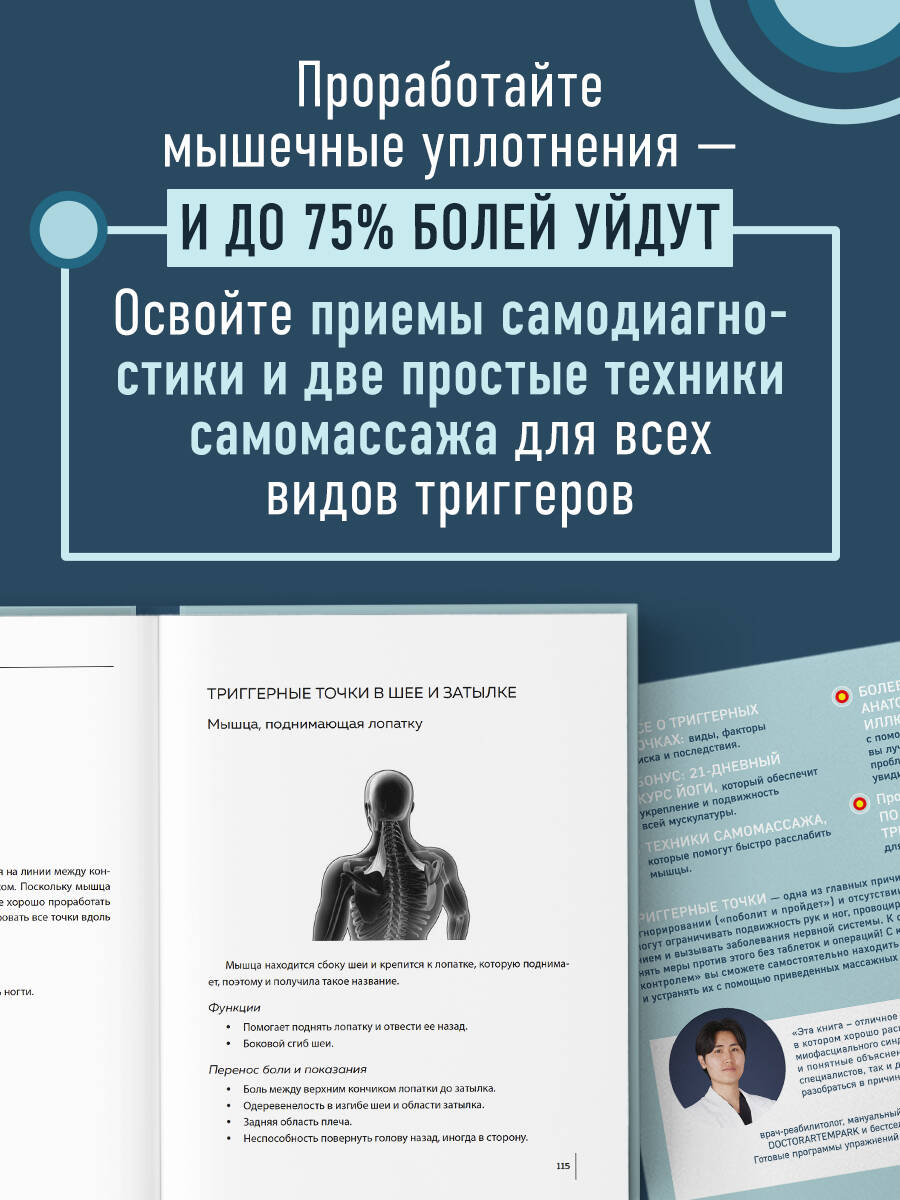 Книга БОМБОРА Триггерные точки под контролем - фото 2