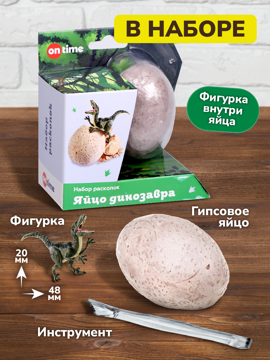 Набор для раскопок ON TIME - фото 5