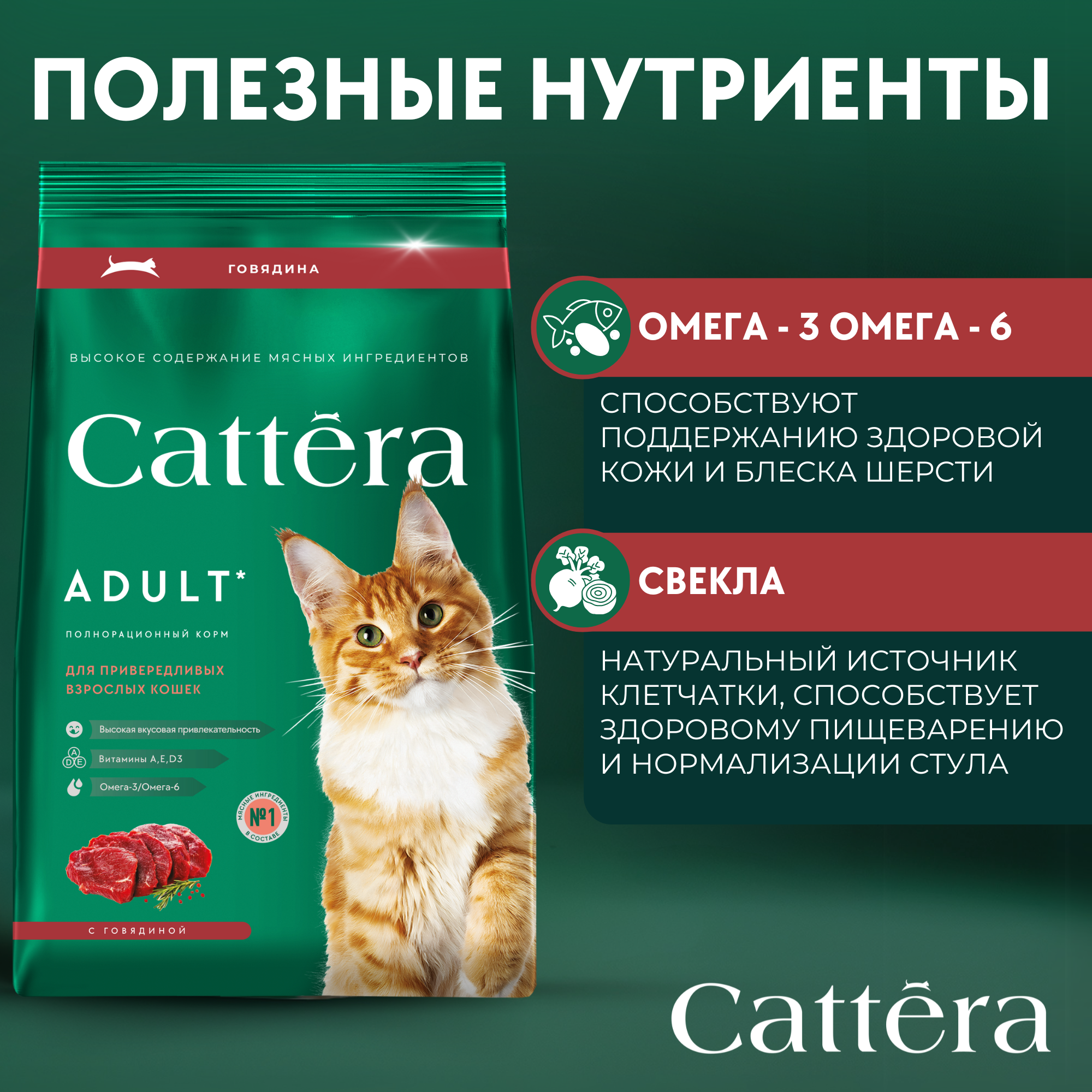 Корм сухой для кошек Cattera полнорационный с говядиной 0,7 кг - фото 6