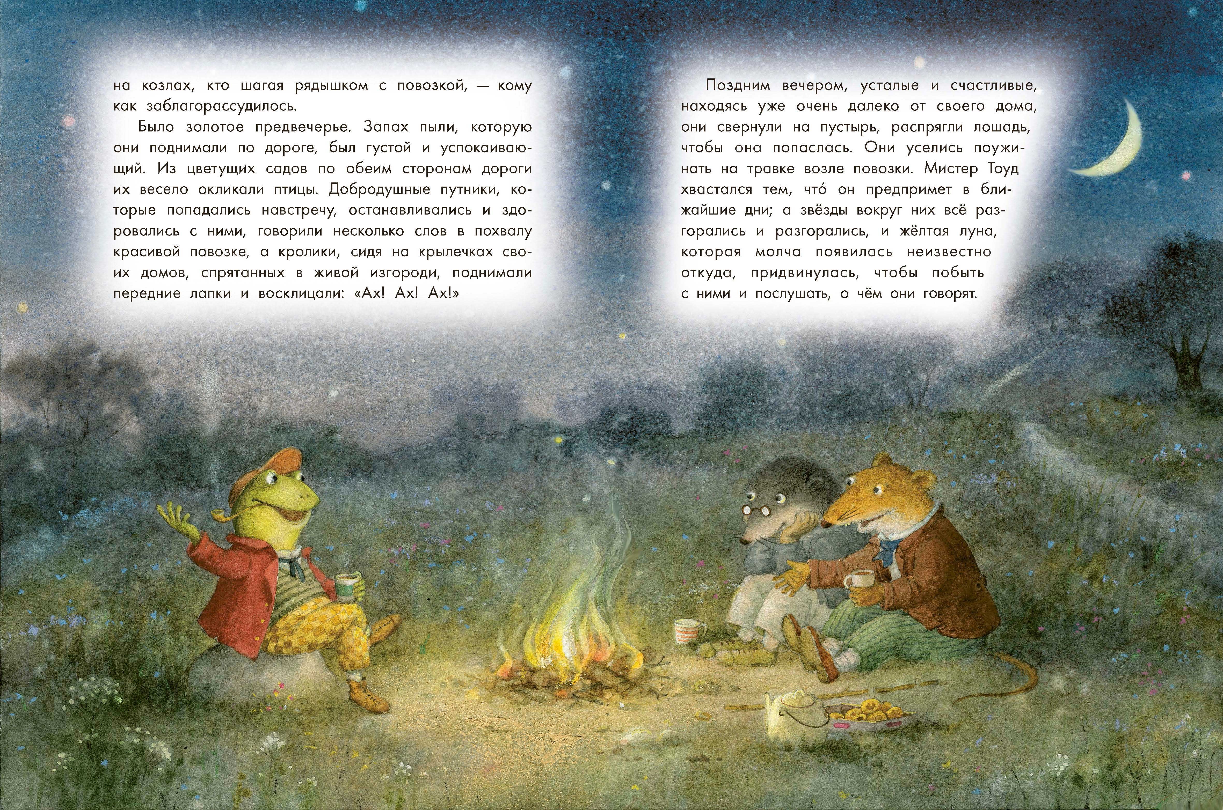Книга Качели Ветер в ивах - фото 8