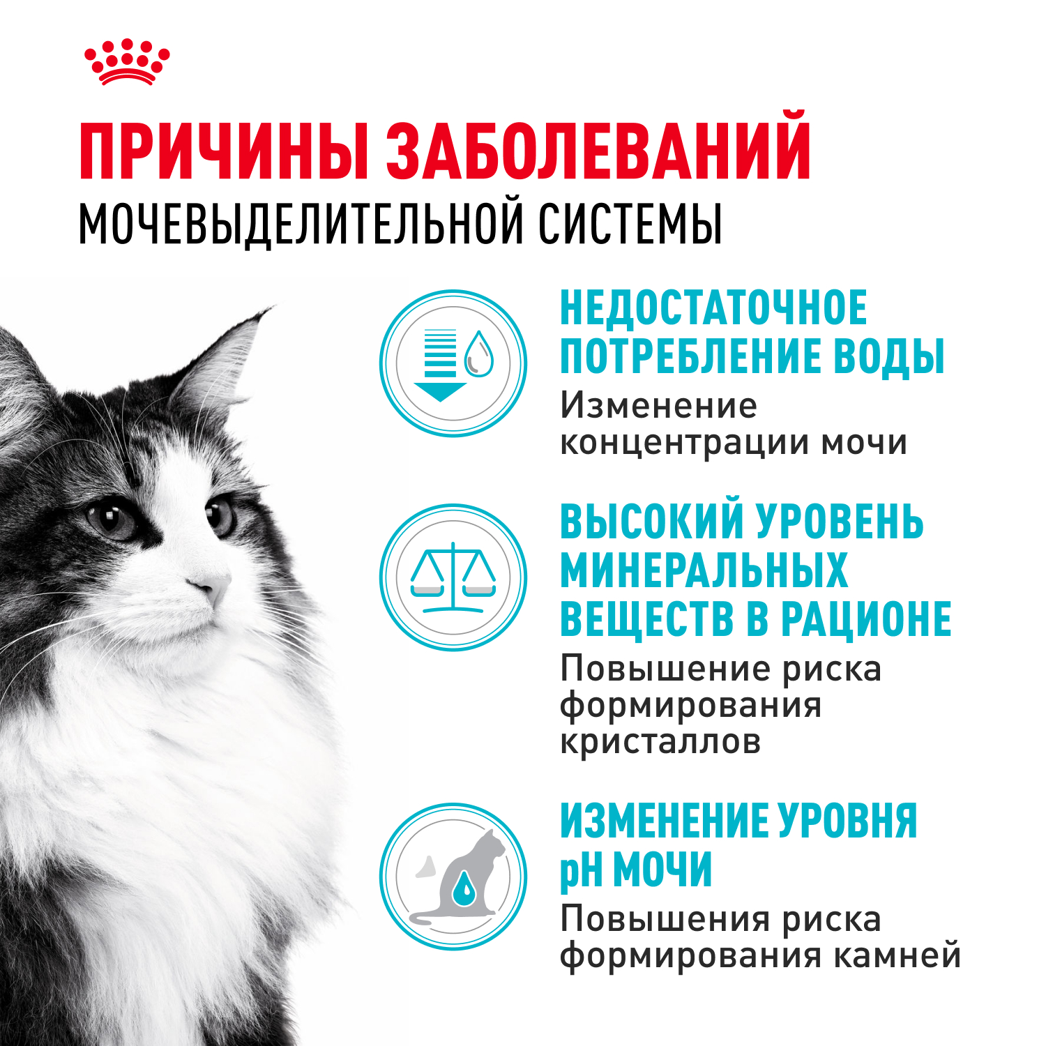 Корм для кошек ROYAL CANIN Urinary Care 4кг для поддержания здоровья мочевыделительной системы - фото 2