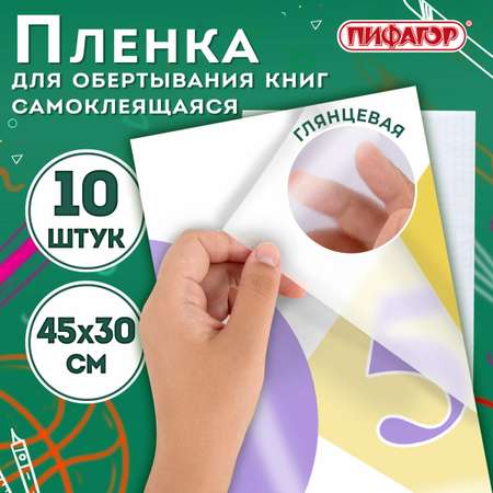 Обложка Пифагор 45 x 30 см 10 шт.
