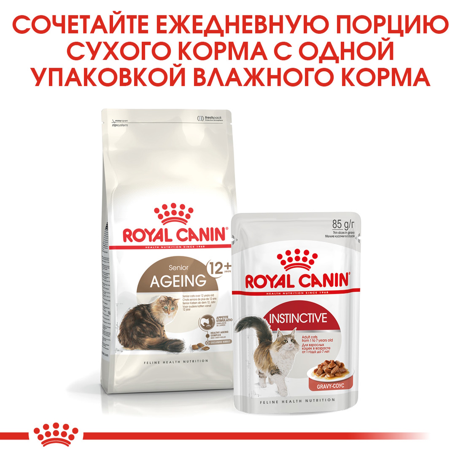 Корм сухой для кошек ROYAL CANIN Ageing Sterilised 2кг для пожилых стерилизованных - фото 6