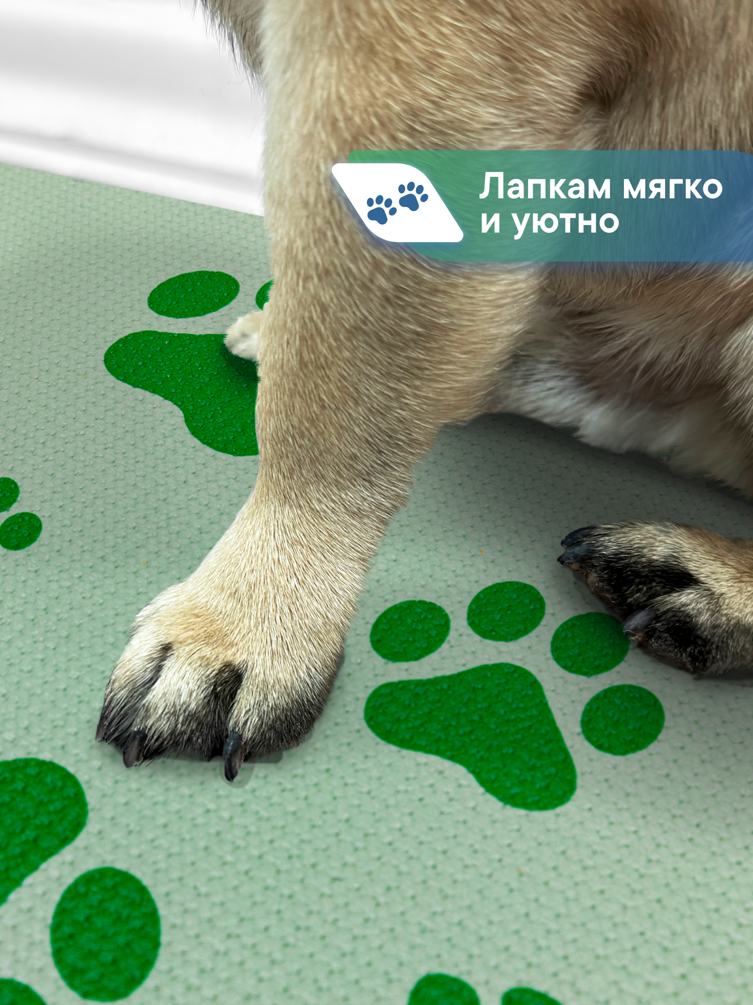 Коврик под миску VILINA Для собак и кошек 50х30 см - фото 3