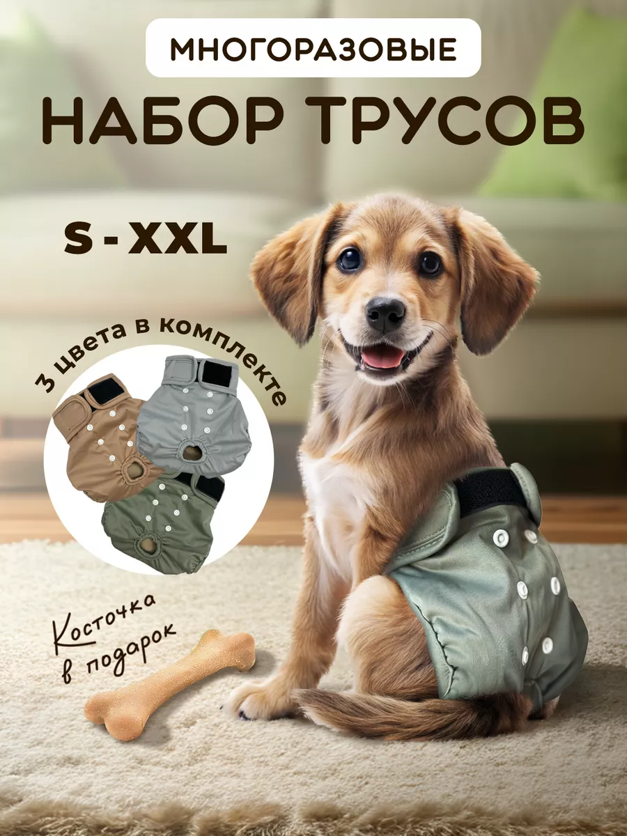 Трусы многоразовые для собак SuperPets размер M, 3 шт, разноцветные - фото 1