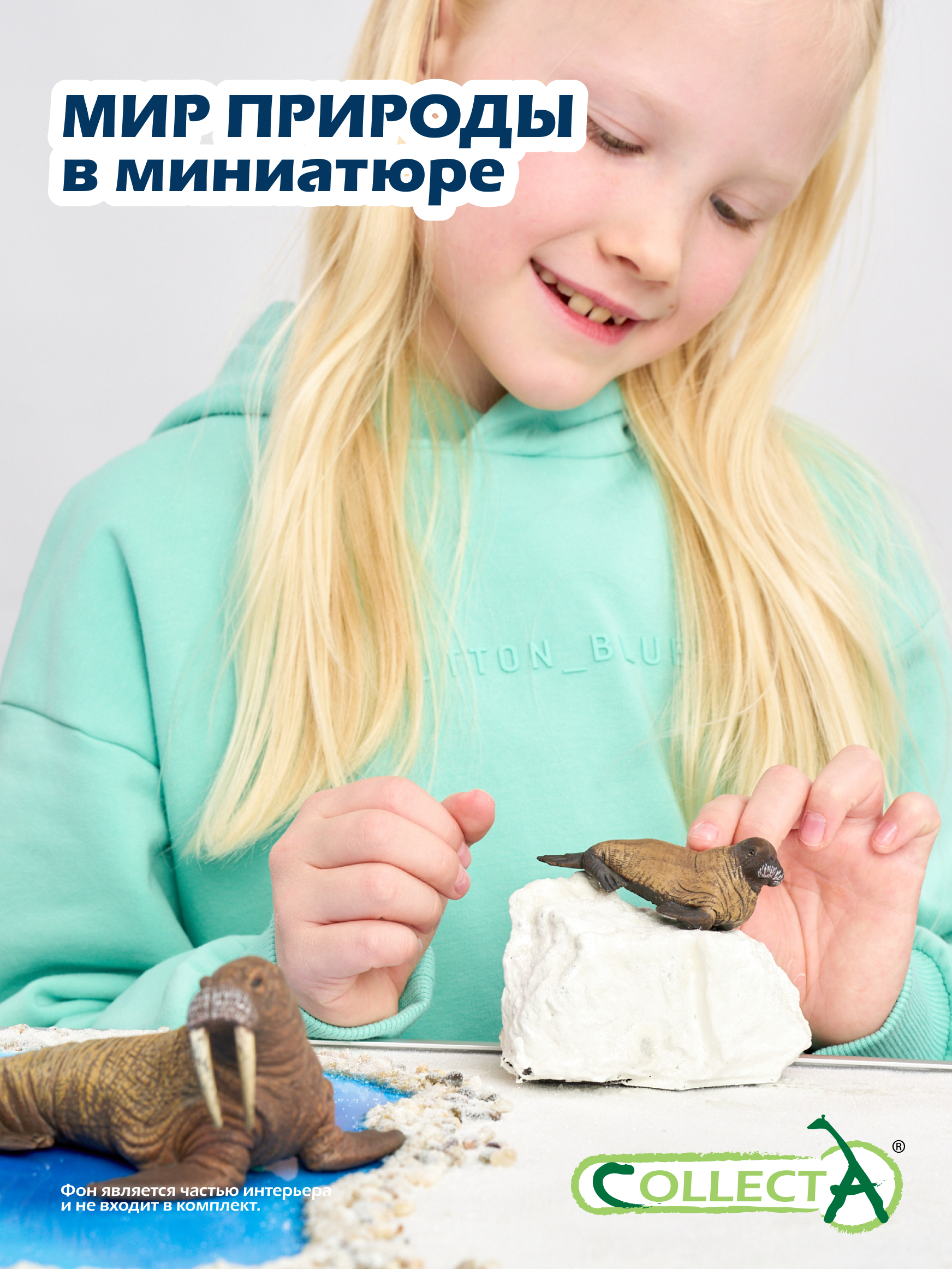 Фигурка Collecta Детёныш моржа - фото 7