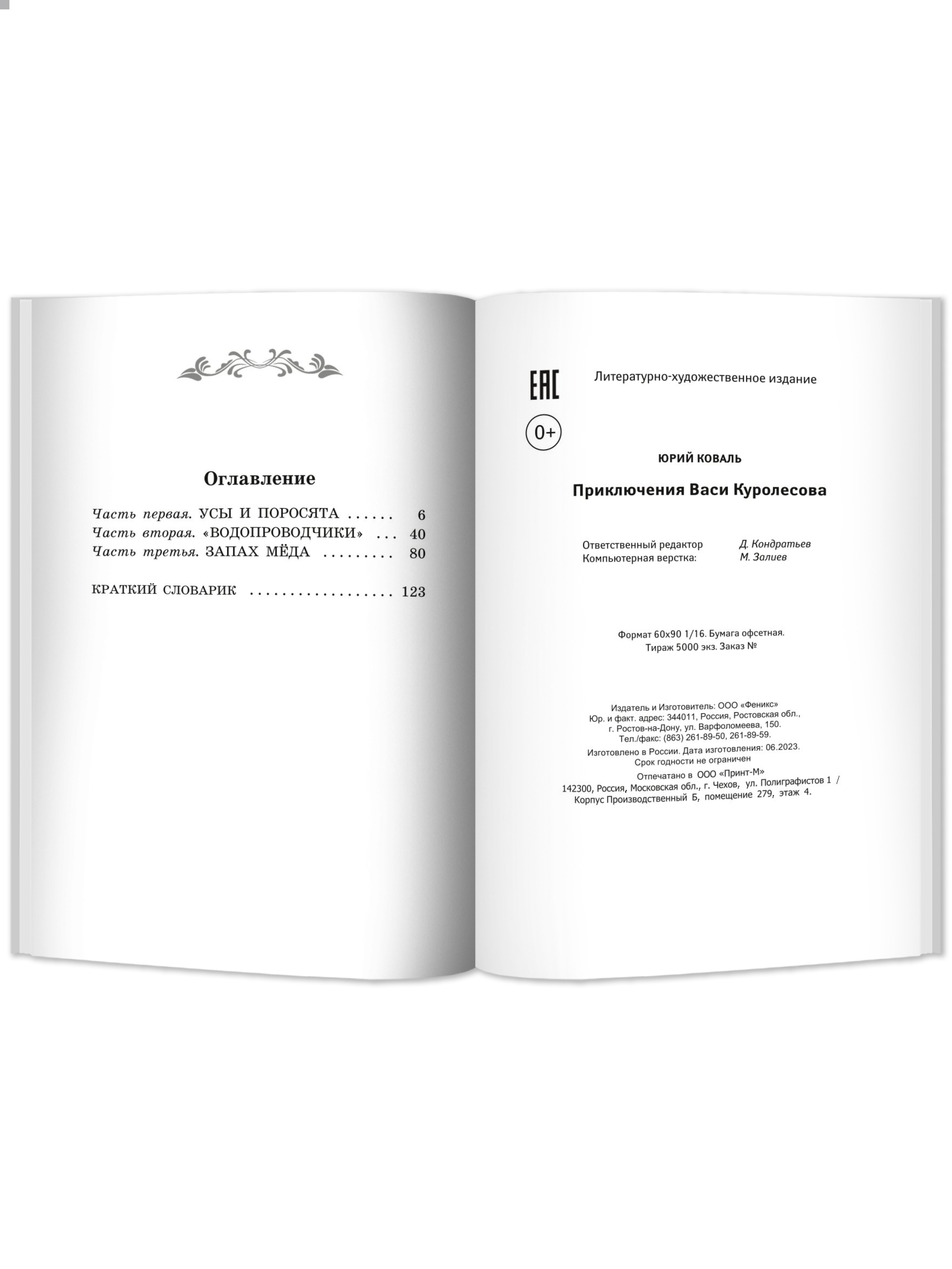 Книга Феникс Приключения Васи Куролесова: повесть - фото 6