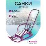 Санки NiKA kids Тимка 5