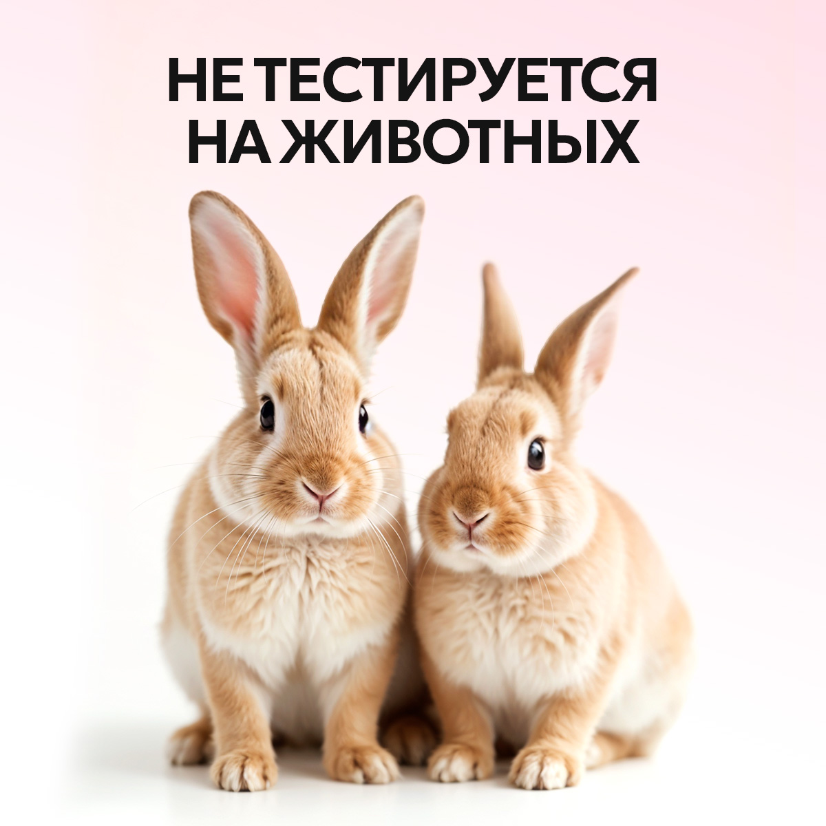 Гель NICE by Septivit Love Is 5000 мл - фото 11
