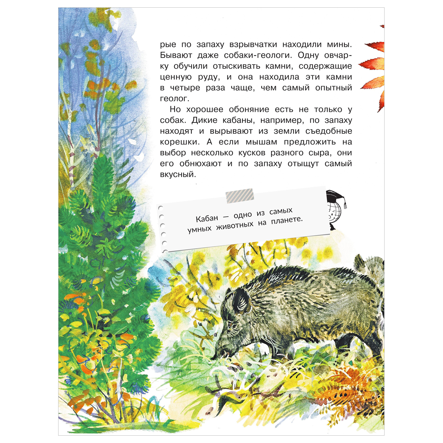 Книга Для чего коту усы - фото 8