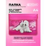 Папка-конверт Cancburg А4