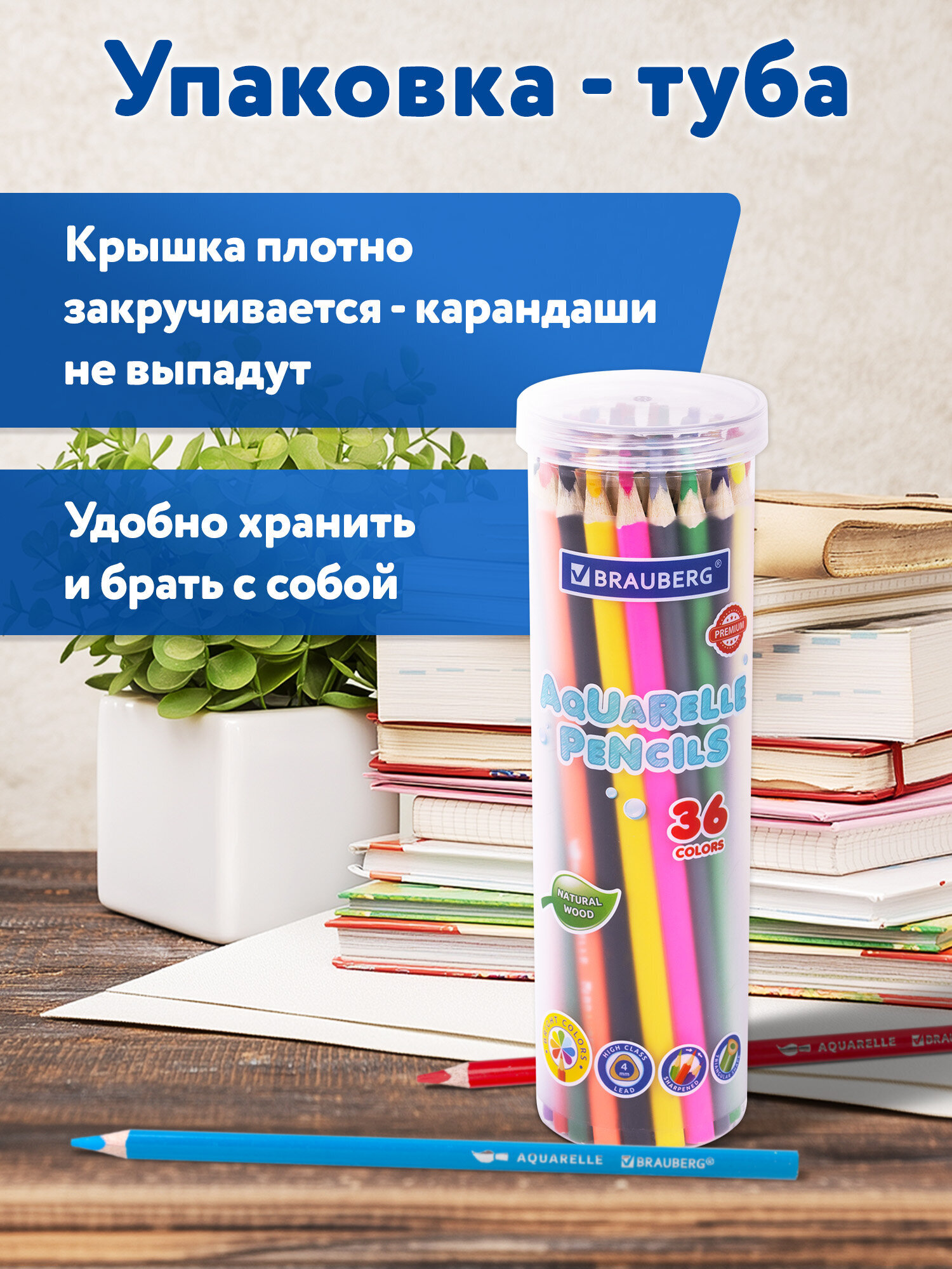 Карандаши акварельные Brauberg 36 шт. - фото 8