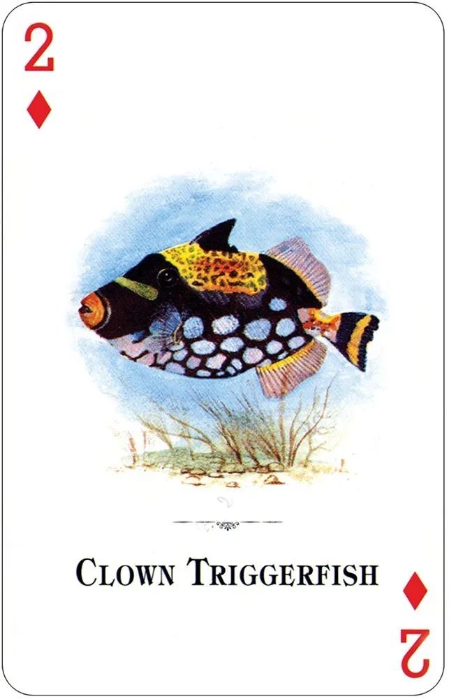 Настольная игра US Games Systems - фото 3