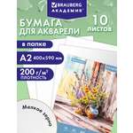 Художественная бумага Brauberg 10 лист.