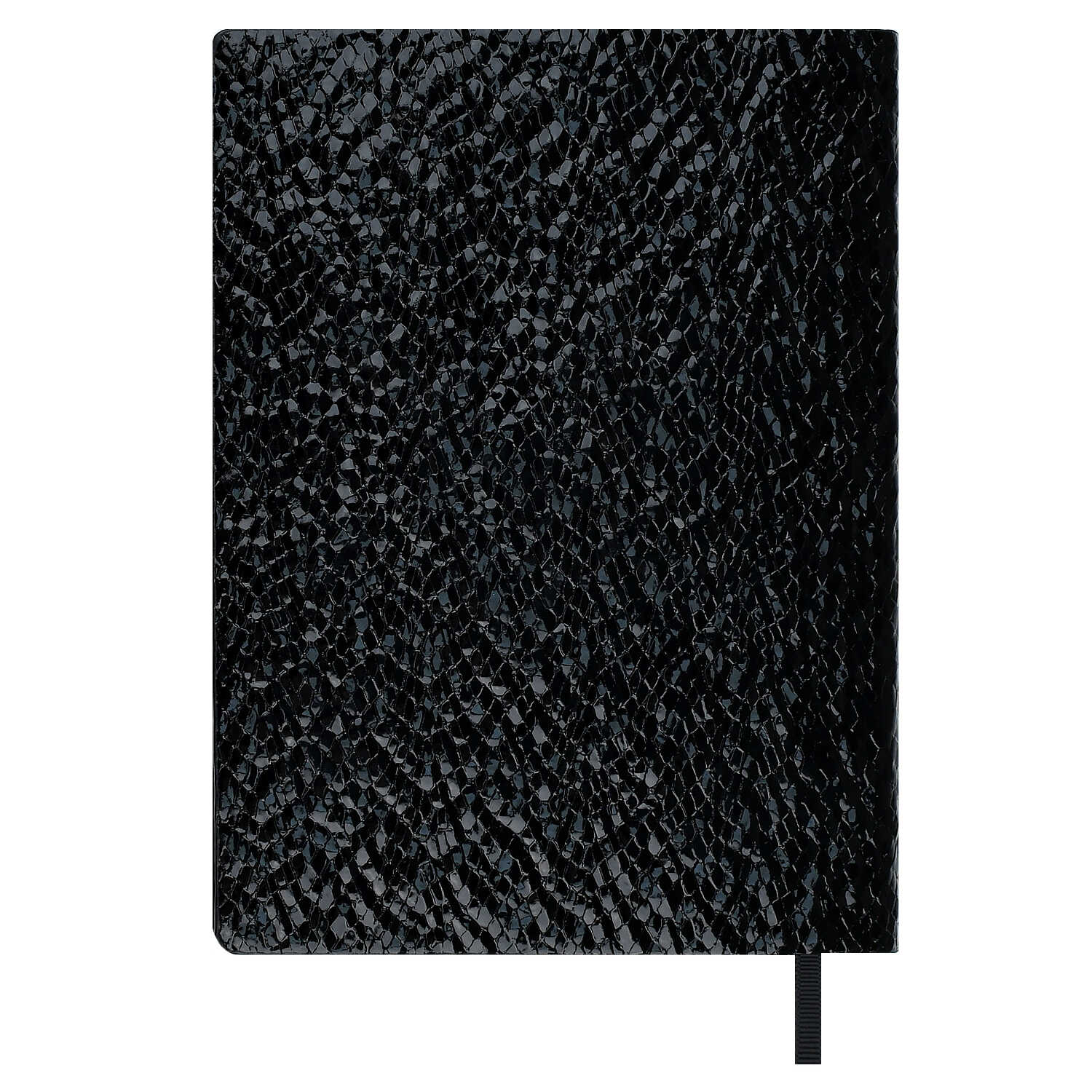 Ежедневник Феникс + ESCALADA 160 лист. - фото 5