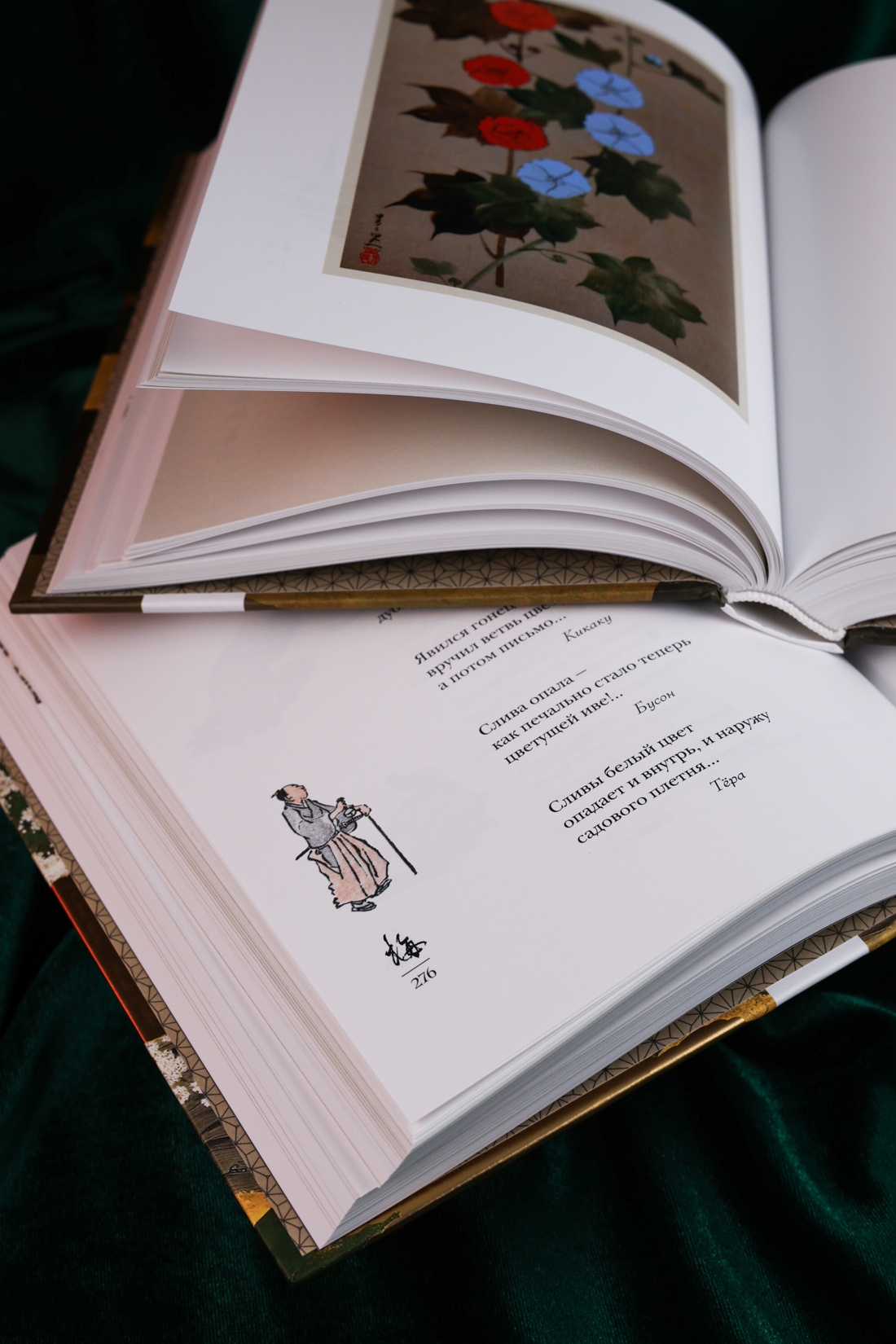 Книга АЗБУКА Мир в капле - фото 13