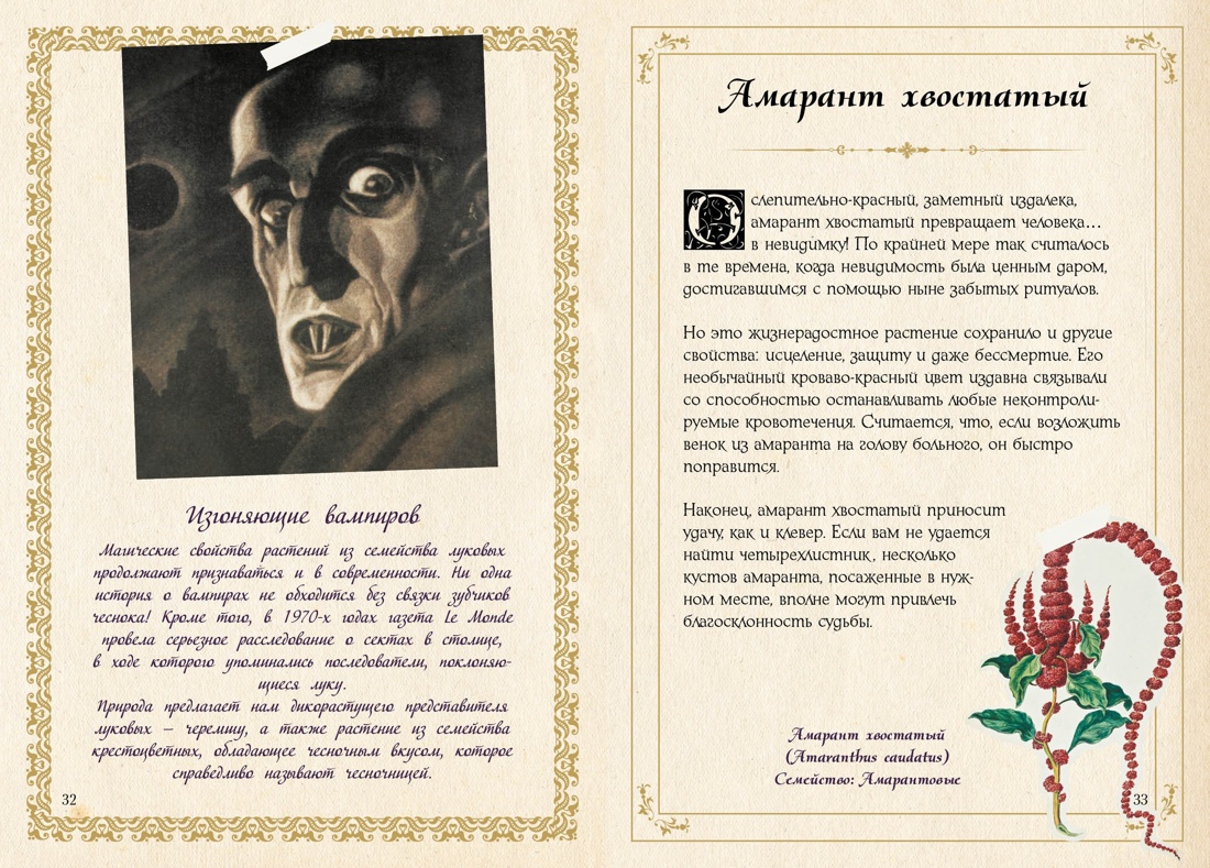 Сборный комплект в коробе из 3-х книг КОЛИБРИ Тайные знания магического Средневековья - фото 19