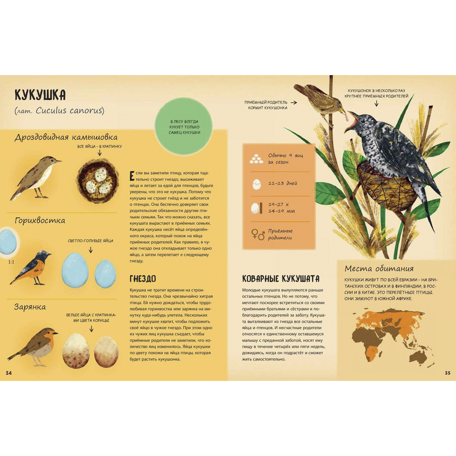 Книга ЭНАС-книга Кто появляется на свет из яйца? - фото 6