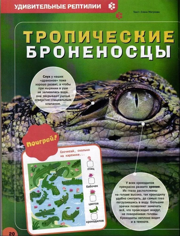 Набор детских журналов ИД Лев Тошка №3 и №9 2025г - фото 5