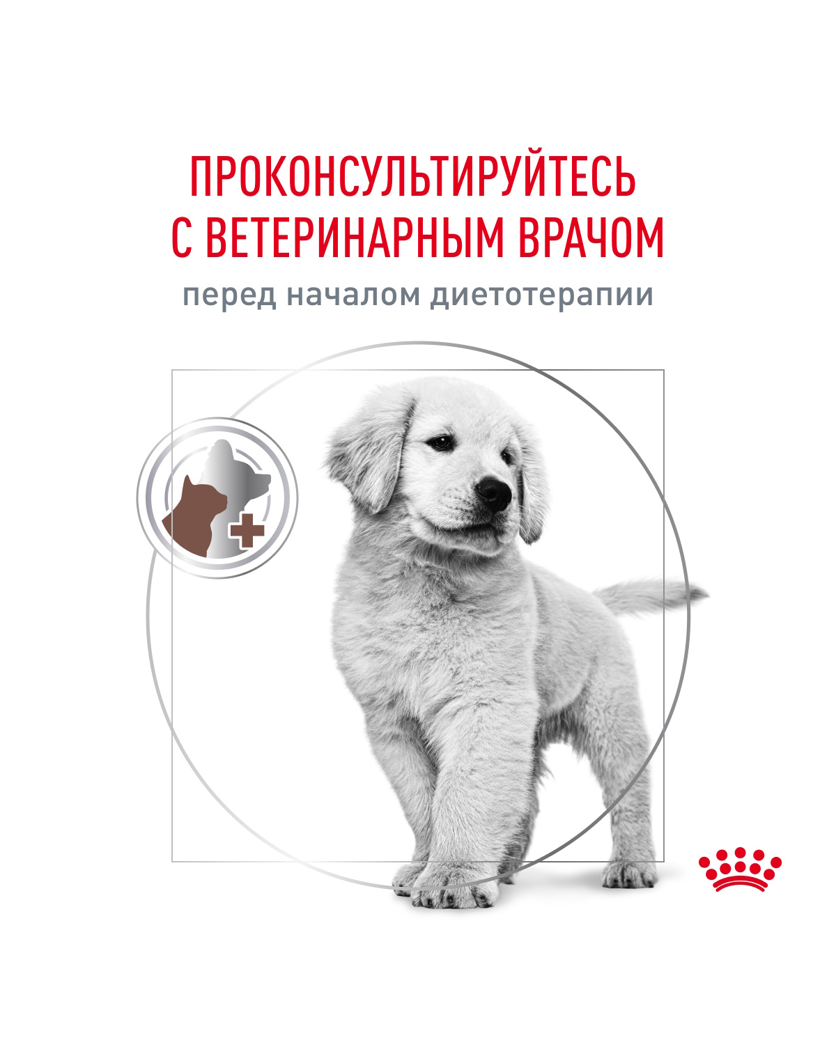 Корм для щенков ROYAL CANIN Gastro Intestinal Junior GIJ29 при нарушениях пищеварения 10кг - фото 9