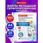 Файл Brauberg А4