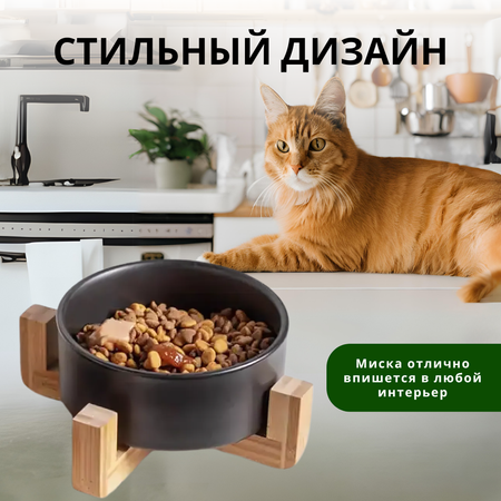 Миска для животных ZDK ZooWell Aura 850мл керамика цвет черный
