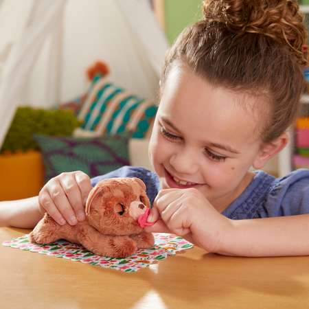 Набор игровой FurReal Friends Младенцы Новорожденный Медвежонок F41585L0