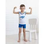 Комплект Amelli