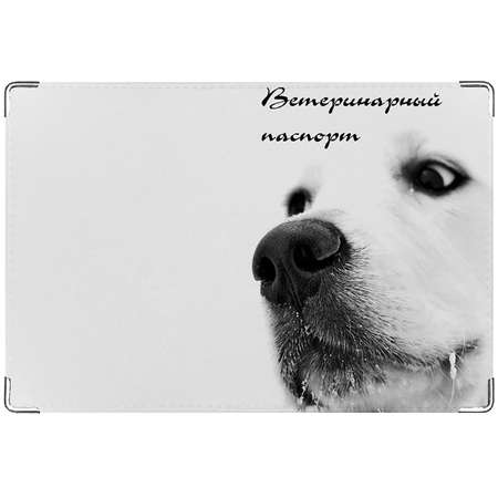 Обложка для ветпаспорта Modaprint из натуральной кожи