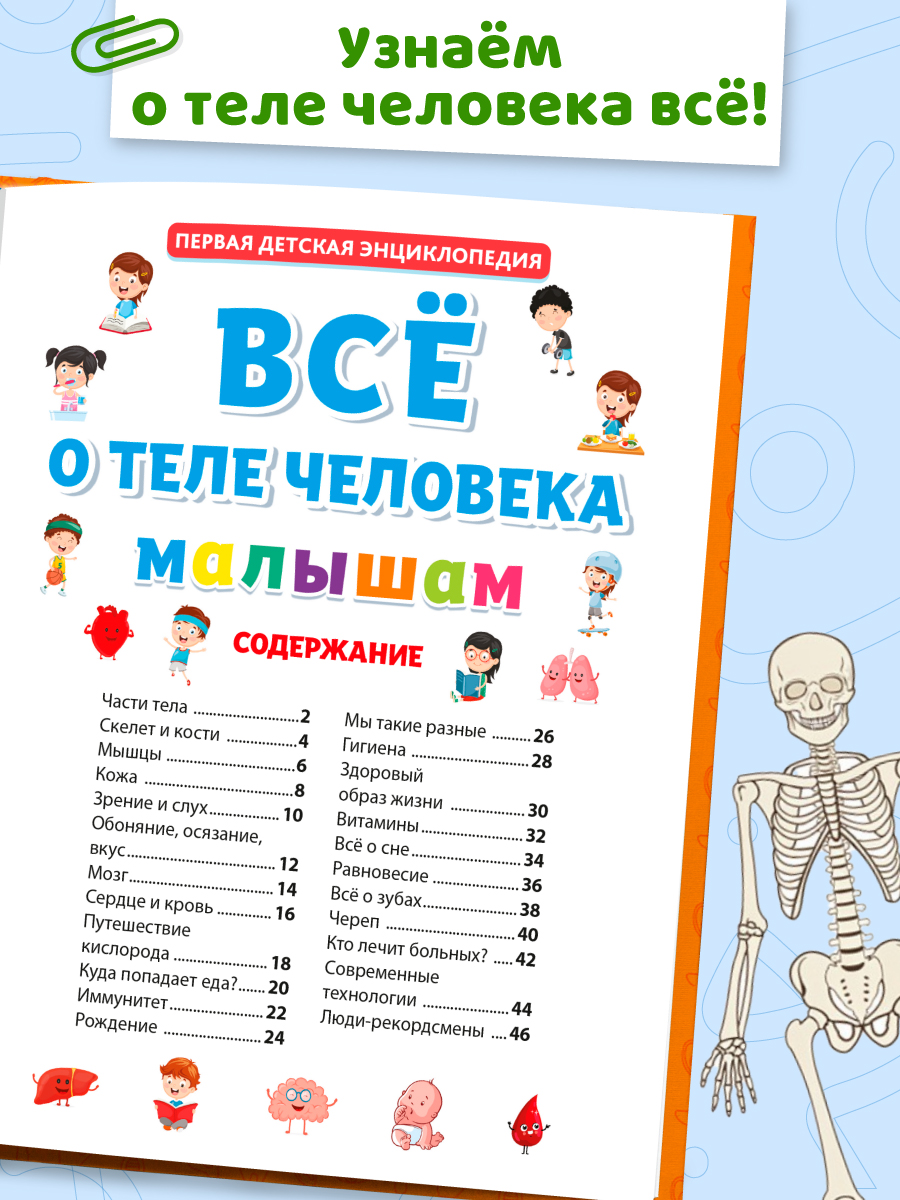 Книга Проф-Пресс Первая детская энциклопедия Всё о теле человека малышам - фото 3