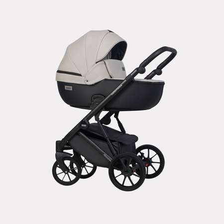 Коляска 2в1 Riko Basic Montana Ecco черный
