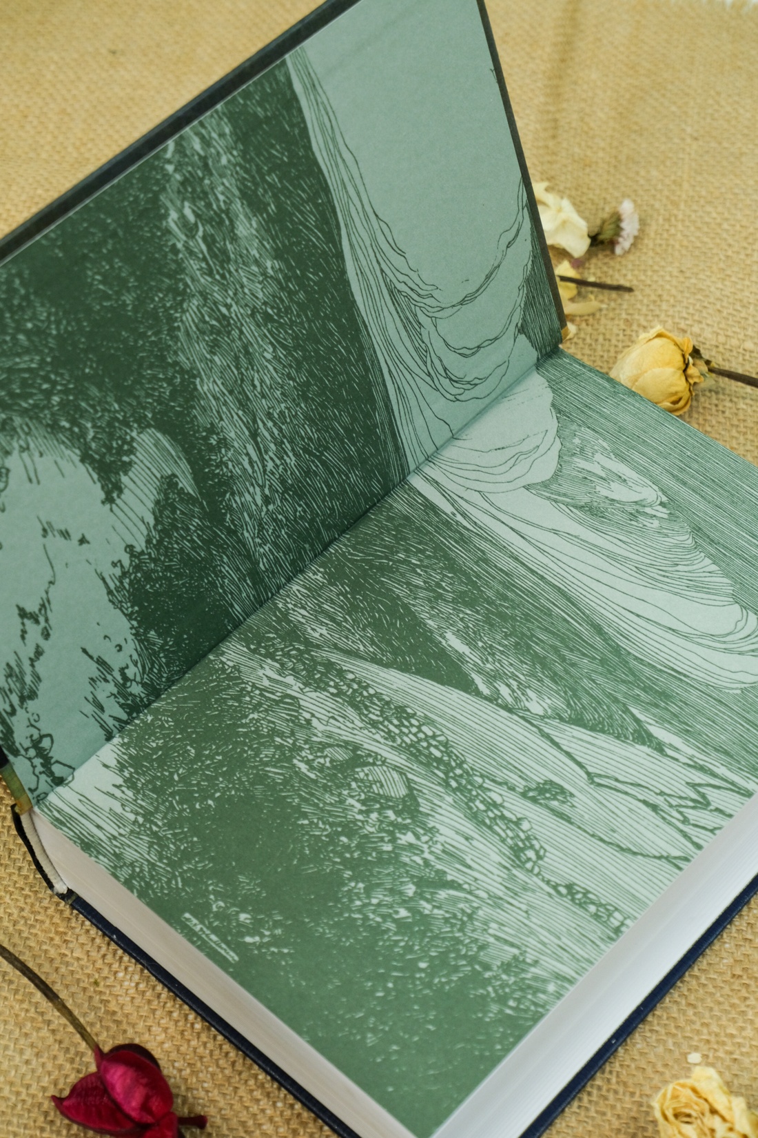 Книга АЗБУКА ИЛБК. Бронте Ш. Джейн Эйр. Учитель (с илл.) - фото 16