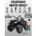 Квадроцикл TOYLAND Qwatro 4х4 ХМХ607, колеса EVA С пультом ДУ