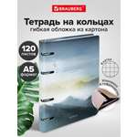 Тетрадь Brauberg клетка