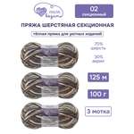 Пряжа для вязания Люблю Вязать Шерстяная секционная 100 г 125 м 3 шт