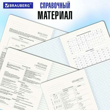 Тетрадь Brauberg 48 лист. 5 шт.