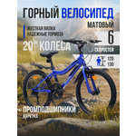 Двухколесный велосипед Veltory 20 дюймов