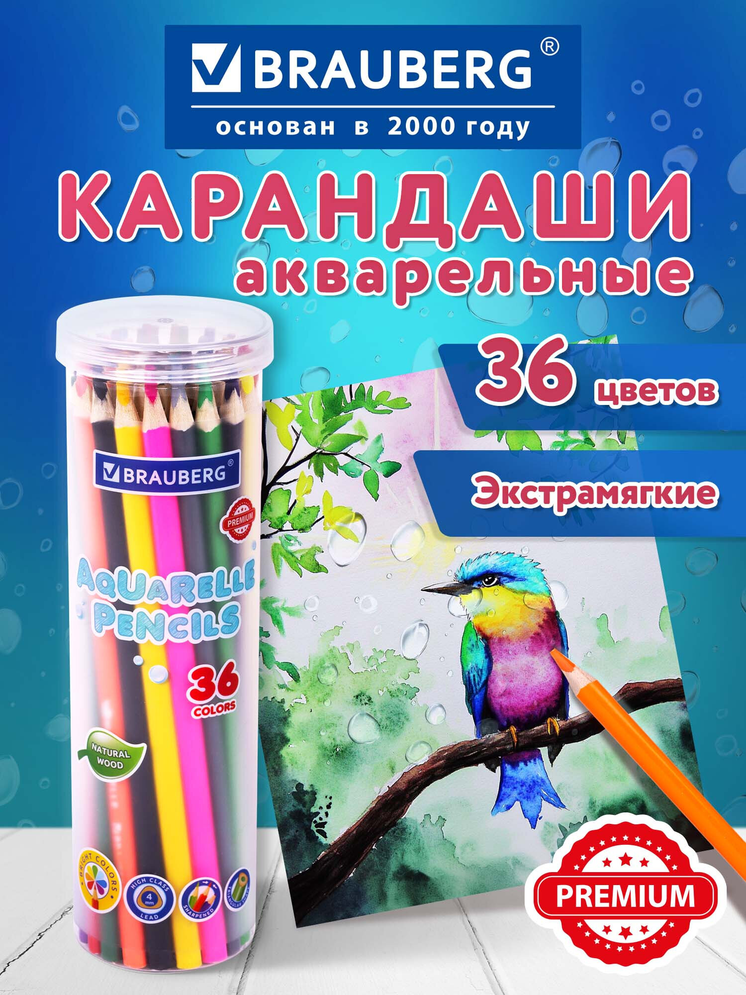 Карандаши акварельные Brauberg 36 шт. - фото 2