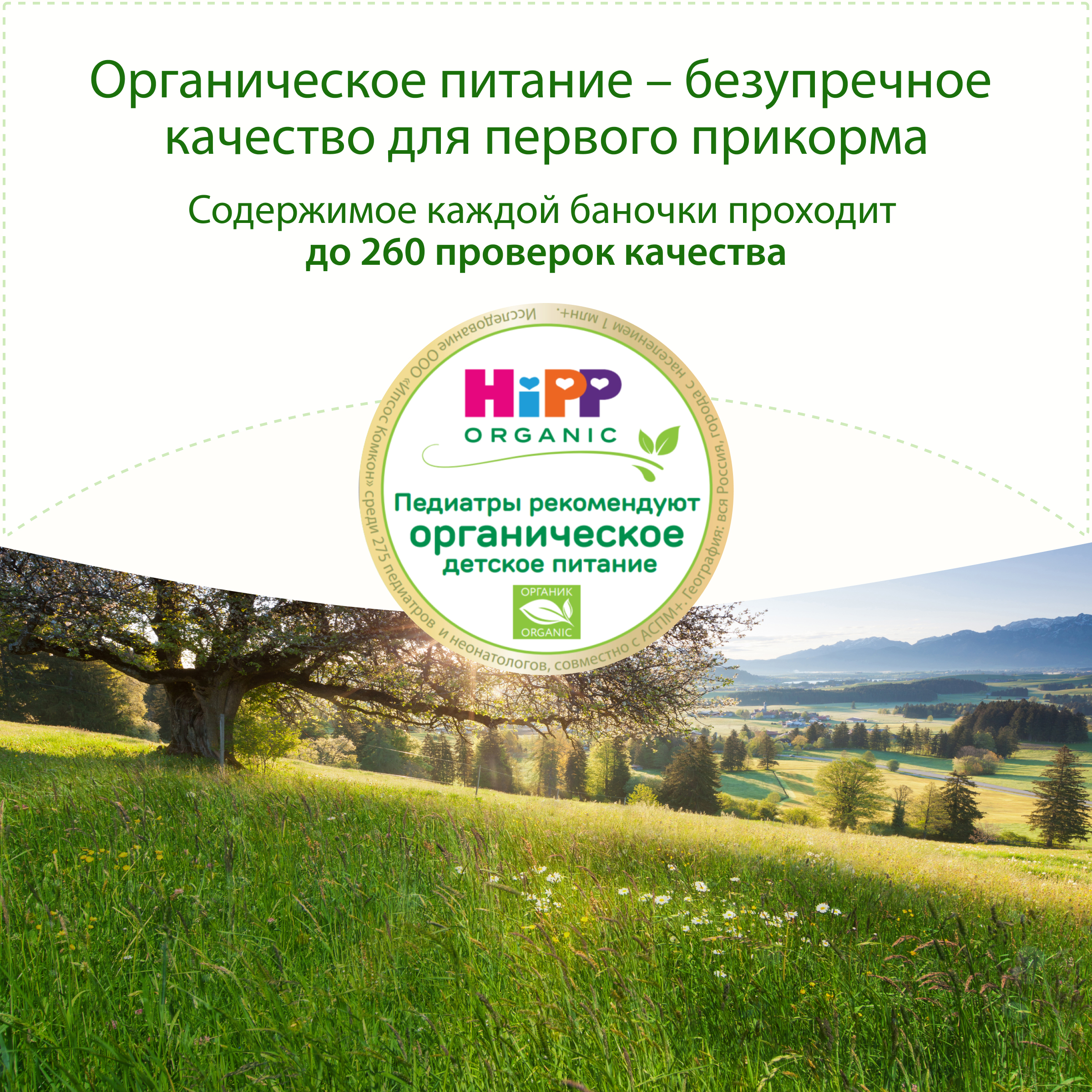 Готовый обед Hipp Крем-суп Овощи-индейка с 6 мес 190 г - фото 3