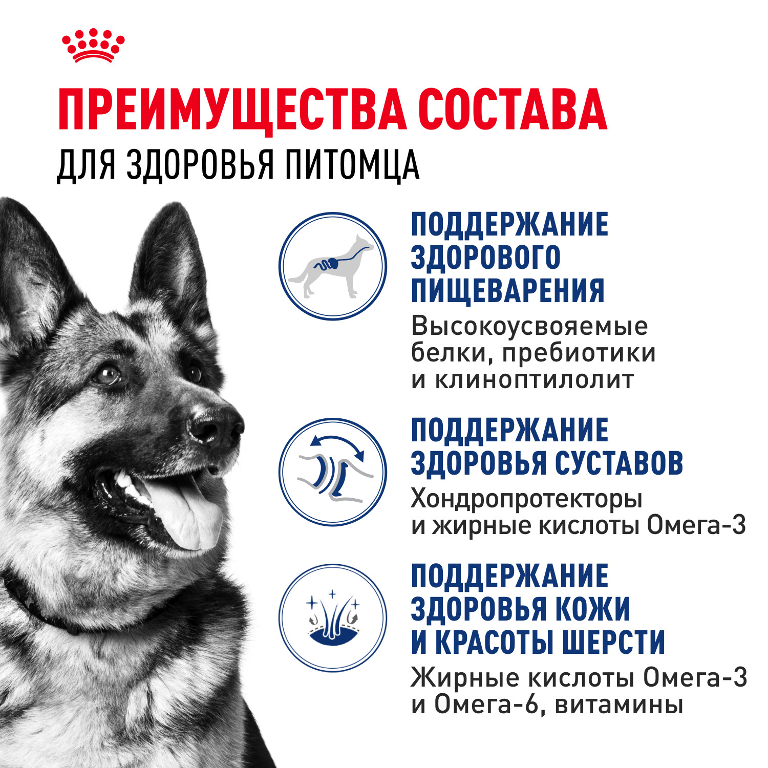 Корм для собак ROYAL CANIN крупных пород до 5 лет 15кг - фото 3